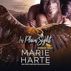 Page de couverture de In Plain Sight