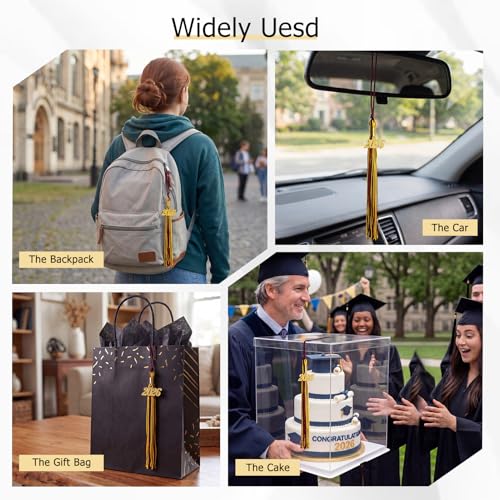 Image of GraduationMall Single&Multiple Color Graduation Tassel with 2026 Year Charm 9 inch