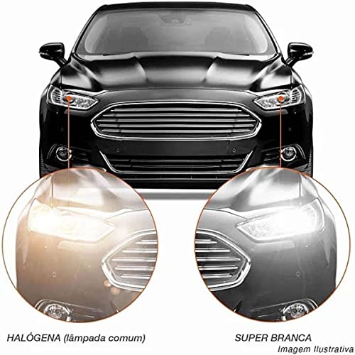 Lâmpada Super Branca Automotiva Halógena Tonalidade 4300K H16 12V 24W PSX24W Shocklight SL-120016SBB