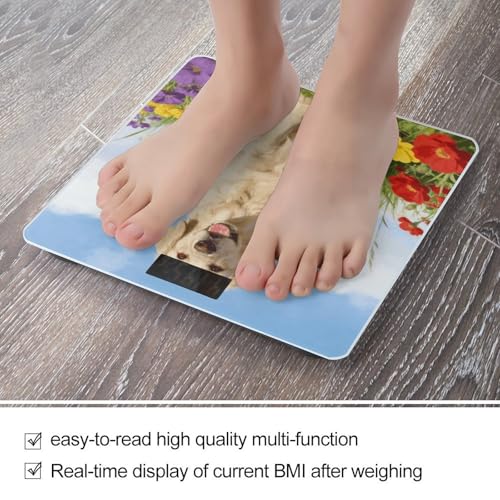 Báscula digital beige para baño con vidrio templado miniatura 5