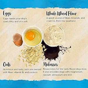 Blue-Dog-Bakery-Natural-Dog-Treats-More-Crunch-Large-Peanut-Butter-18oz-Box-6-Boxes - Cucciolini Doodles   Blue-Dog-Bakery-Natural-Dog-Treats-More-Crunch-Large-Peanut-Butter-18oz-Box-6-Boxes