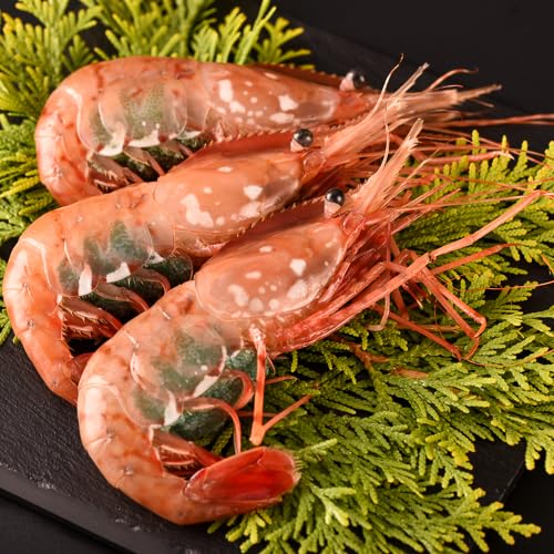 kCY ΘpY qڂ񂦂 500g(9-10) Ⓚ