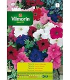 Vilmorin
