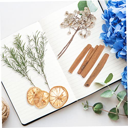 Kit de Flores Secas para Manualidades y Decoración miniatura 3