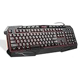 Riitek Riicool日本語配列キーボー、3色のバックライト（赤、紫、青）、マルチメディアショートカット、160 cm長いケーブル、ゲーミングと作業のために設計します RK800