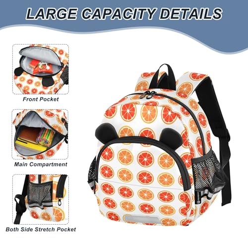 Orange Fruit Toddler Backpack for Girls Boys,Preschool Kindergarten Backpack,Cute Kids Backpacks for Girls B04047203