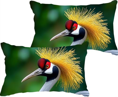 ���J�o�[ 2�� �H �Z�b�g 50x70cm �l�G�K�� �N�b�V�����J�o�[ �����`�_�炩�� ���l�����f�ޒʋC ���� ���ɂ₳���� �t�@�X�i�[�� ���E�ȒP ������� �I�[���V�[�Y�� �����΁[�ґ� �X�^�C�� �N�b�V�����P�[�X ���z�c�J�o�[ �������J�o�[ �Q���p �\