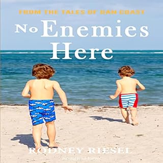 No Enemies Here Audiolibro Por Rodney Riesel arte de portada