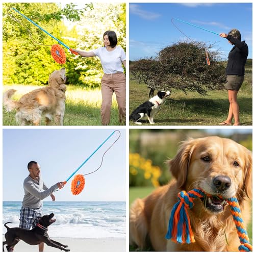 Ausziehbare Flirt Pole Reizangel für Hunde mit 2 Knoten & Robustem Seil, Baseball Stil Verstellbarer Flirtstock für Haustier Interaktives Jagdtraining Bewegungsspiel Indoor Outdoor Hundespielzeug
