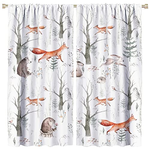 Gy Cartoon Space Blackout Curtains Rod Pocket Curtains,Watercolor Forest Animal Painting Fox Rabbit Cat Eagles Boys Girls Teen Window Curtains For Kitchen Living Room Bedroom Decor 42X45 Inch #TOP26
