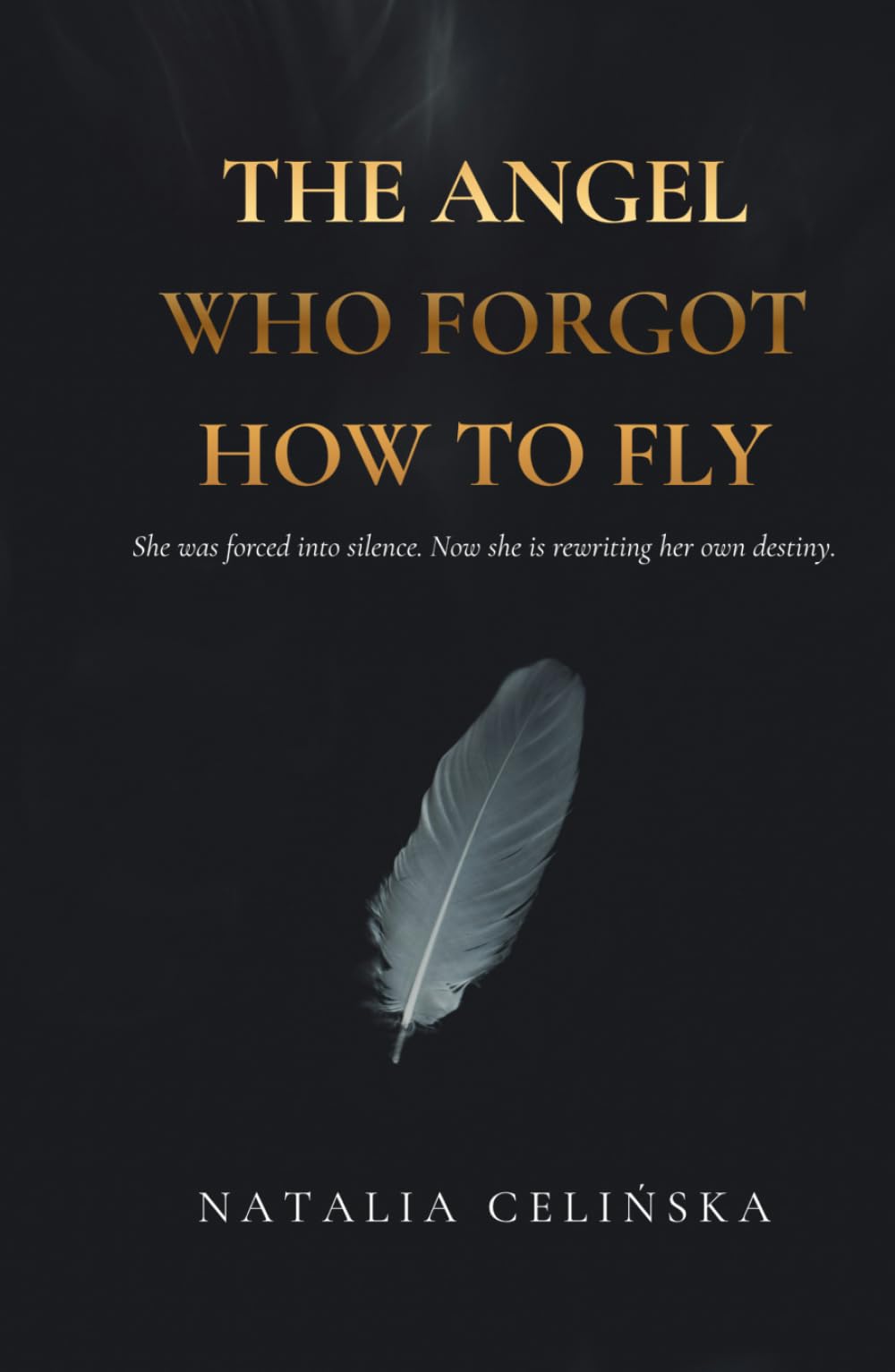 The Angel Who Forgot how to Fly