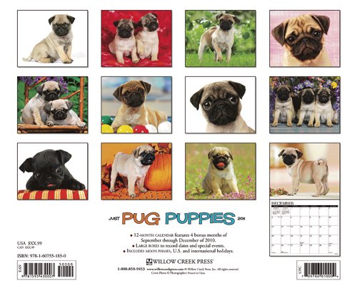 Just Pug Puppies 2011 Calendar