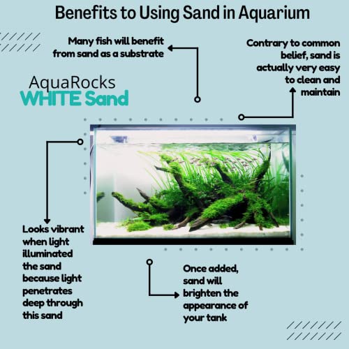 Image of Premium Natural White Aquarium Sand (1.8 kg Pack) | Decorative White Sand for Fish Tanks, Terrariums, Aquascaping & Reptile Habitats