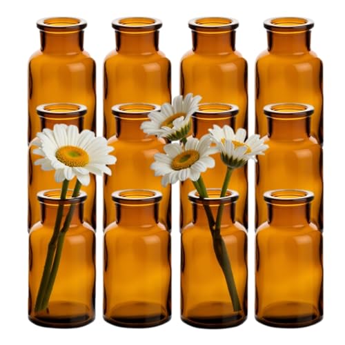 gouveo 12er Set Glasvasen Clear-Bottle Antik 250 - Runde Blumenvasen...
