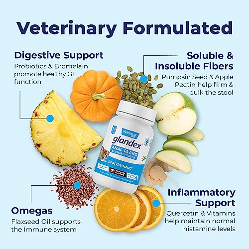 image for Vetnique Labs Glandex Dog Fiber Supplement Powder for Anal Glands with