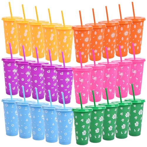 image for VISTARAFT 30PCS 24oz Tropical Party Cups with Lids and Straws – 6 Co
