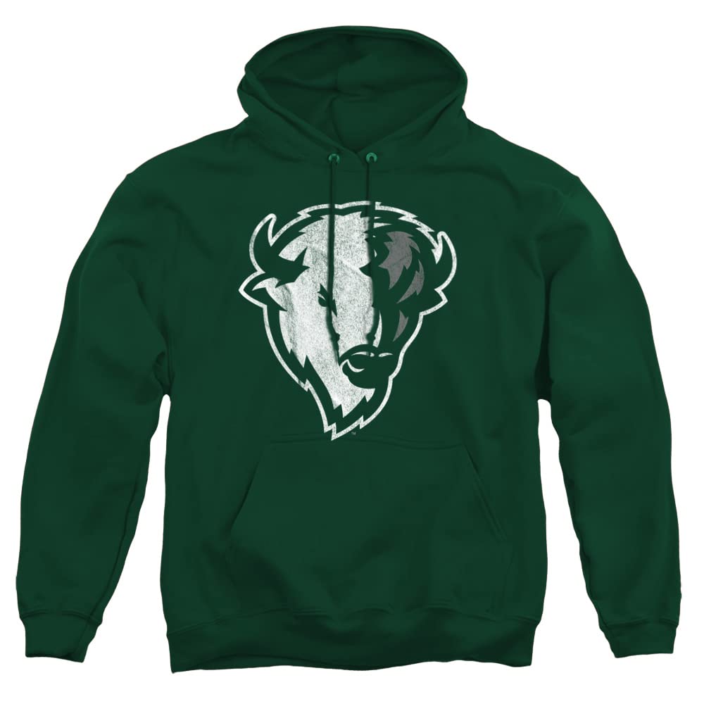 LOGOVISION Official Collegiate Distressed Primary Logo Adult Pullover Hoodie Collection — view 490