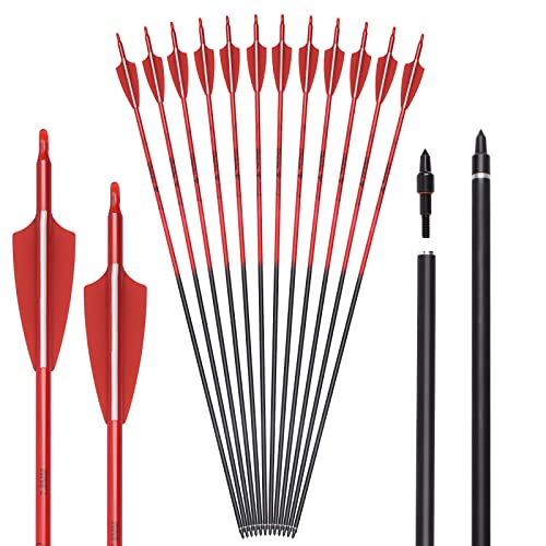 Carbon Arrow Archery 26inch Hunting Target Practice Arrows for Compound & Recurve Bow Spine 500 with Removable Tips (Pack of 12)