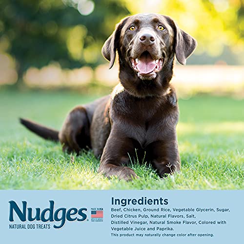Blue Buffalo Nudges Grillers Natural Dog Treats, Steak, 16oz Bag - Image 4
