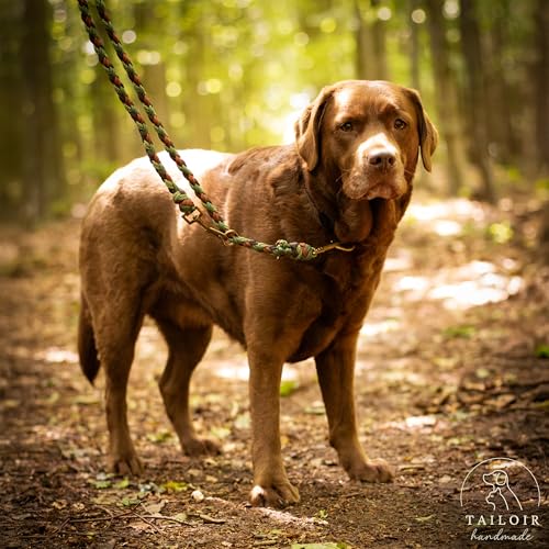 Tailoir Hundeleine 2m geflochten - Leine Hund, Mittelgroße - Große Hunde, Leine verstellbar, Hundeleinen, Dog Leash Führleine, Bissfeste Hundeleine zum Umhängen, Trainingsleine, Freihandleine Paracord
