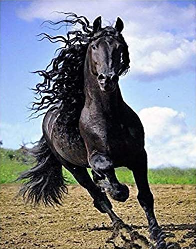 Cadeau d'anniversaire peinture au diamant cheval personnalisable