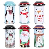 HOLIDYOYO 6 Contenitori In Latta Per Conservare Il Tè Contenitori Per Conservare Il Tè Organizzatori E