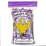 Nature's Nuts Premium Black Striped Sunflower Seed - 16 lb.