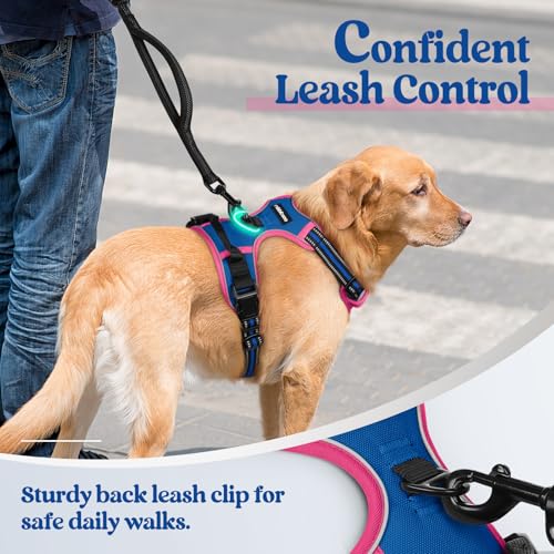 Image of rabbitgoo Dog Harness No Pull with 2 Leash Clips, Adjustable Soft Padded, Reflective Oxford No Choke Pet Vest with Easy Control Handle for Large Dogs, Blue & Hot Pink, M
