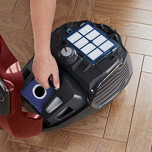 Electrolux EPF6ANIMAL Aspirateur 3,5 L Aspirateur réservoir cylindrique Sec 800 W Sac à poussière - Image 5