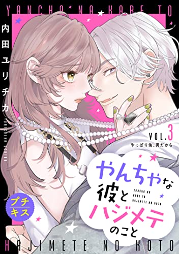 やんちゃな彼とハジメテのこと プチキス（3） (パルシィコミックス)
