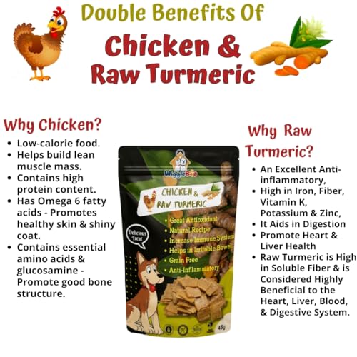 Image of Chicken & Raw Turmeric Dog Treat | Protein Rich | Fiber Rich | Crunchy Healthy Snacks | 45g