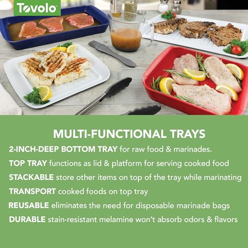 Image of Tovolo Steak Marinating Container Large Grill Marinade and Prep Tray Set for Meat Veggies Burgers, Dishwasher Safe BBQ Marinating Tray with Cover for Thawing Prepping or Serving 17x10.5 in
