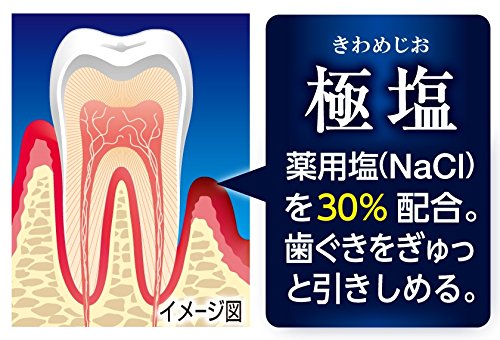 エビス 　極塩プレミアムケアズ　 100g　15本セット エビス 極塩プレミアムケアズ 100g 15本セット 【公式通販】