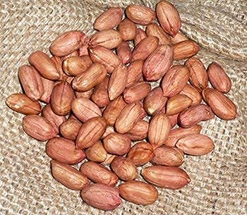 Amazon.co.jp: 千葉県産 落花生 生 500g : 食品・飲料・お酒