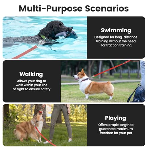 HAPPY HACHI Schleppleine für Hunde, 3m /5m /10m /15m /20m /25m /30m /33m Nylon Hundeleine mit Handschlaufe, Trainingsleine mit D-Karabiner,Lange Hundeleine,für Gehorsamkeitstraining (Rot, 5m)