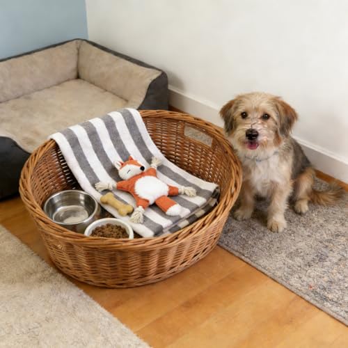 Juguete mordible para perros cachorro con sonido y cuerda miniatura 5