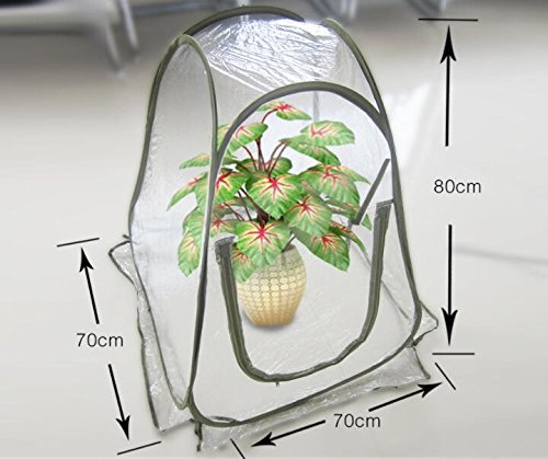 Preisvergleich Produktbild gewächshaus klein überwinterungszelt für Pflanzen gewächshaus blumentopf gewächshaus Pflanzen Mini gewächshaus winterschutz für Pflanzen Greenhouse