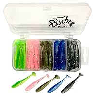 Amazon.co.jp: Bucht シャッドテールワーム 2.2インチ 100本