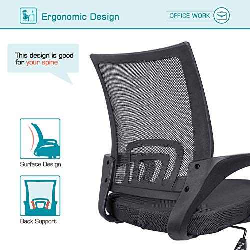 Devoko Ergonomic Mid Back Office Chair with Adjustable Lumbar Support and Armrests (Black)