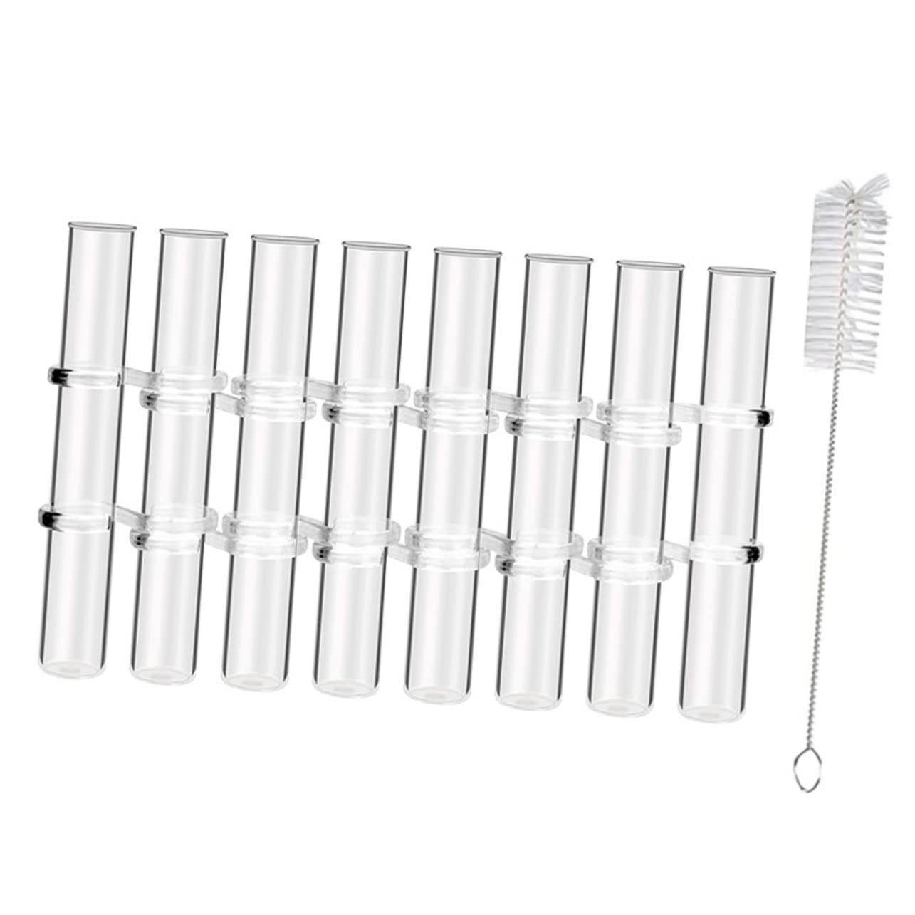 Vase en Verre de Propagation de Plantes, 1 Set, Hydroponique | Bureau et Maison, Terrarium Végétal à Tubes à Essai, Décoratif pour Plantes D’intérieur