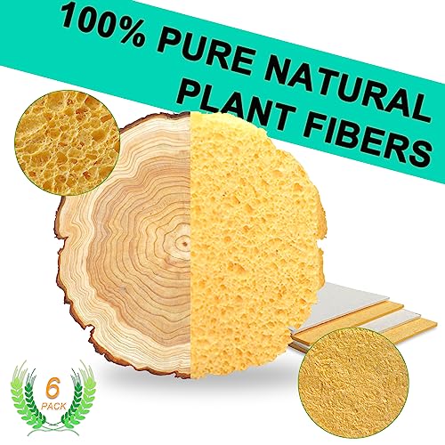Image of 6-Count Extra Large Compressed Sponges Kitchen for Dishes, Sponges for Cleaning, Biodegradable Cellulose Compressed Sponges for Kitchen, Bathroom, Camper, Backpacker