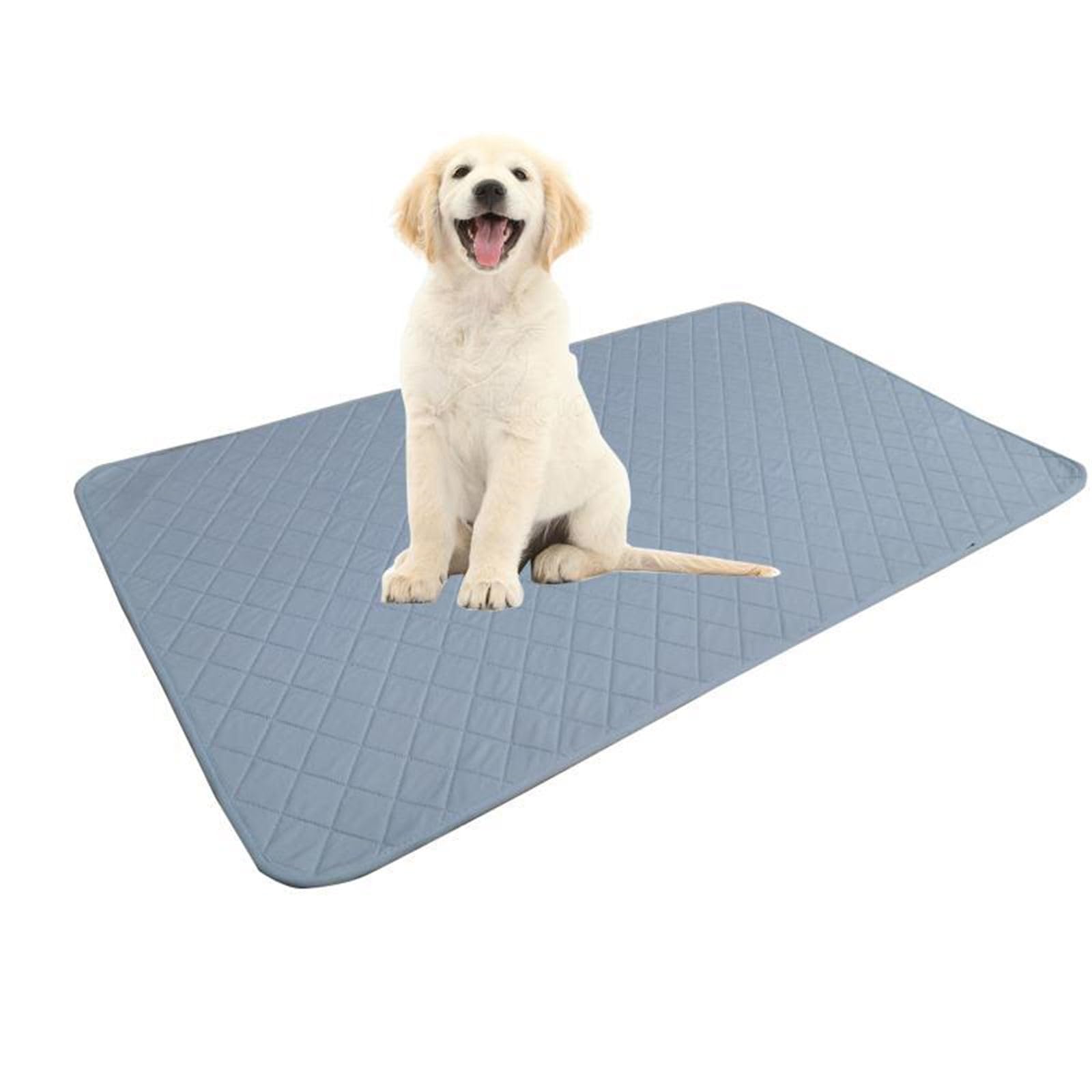 Tappetino Pipì Cane Lavabile, Trapuntato Rombo Tappetini Assorbenti per Cani Riutilizzabili Traversine Addestramento Assorbente Asciugatura Rapida Antiscivolo (Azzurro,120x150cm)