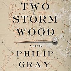 Two Storm Wood Audiolibro Por Philip Gray arte de portada