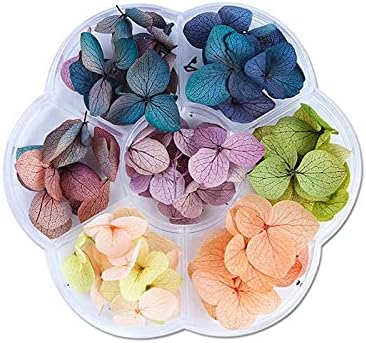 Sitonelectic Dried Flowers Decoration - Pressed Flowers for Crafts DIY Epoxy Resin Handmade Crafts Filling Materials