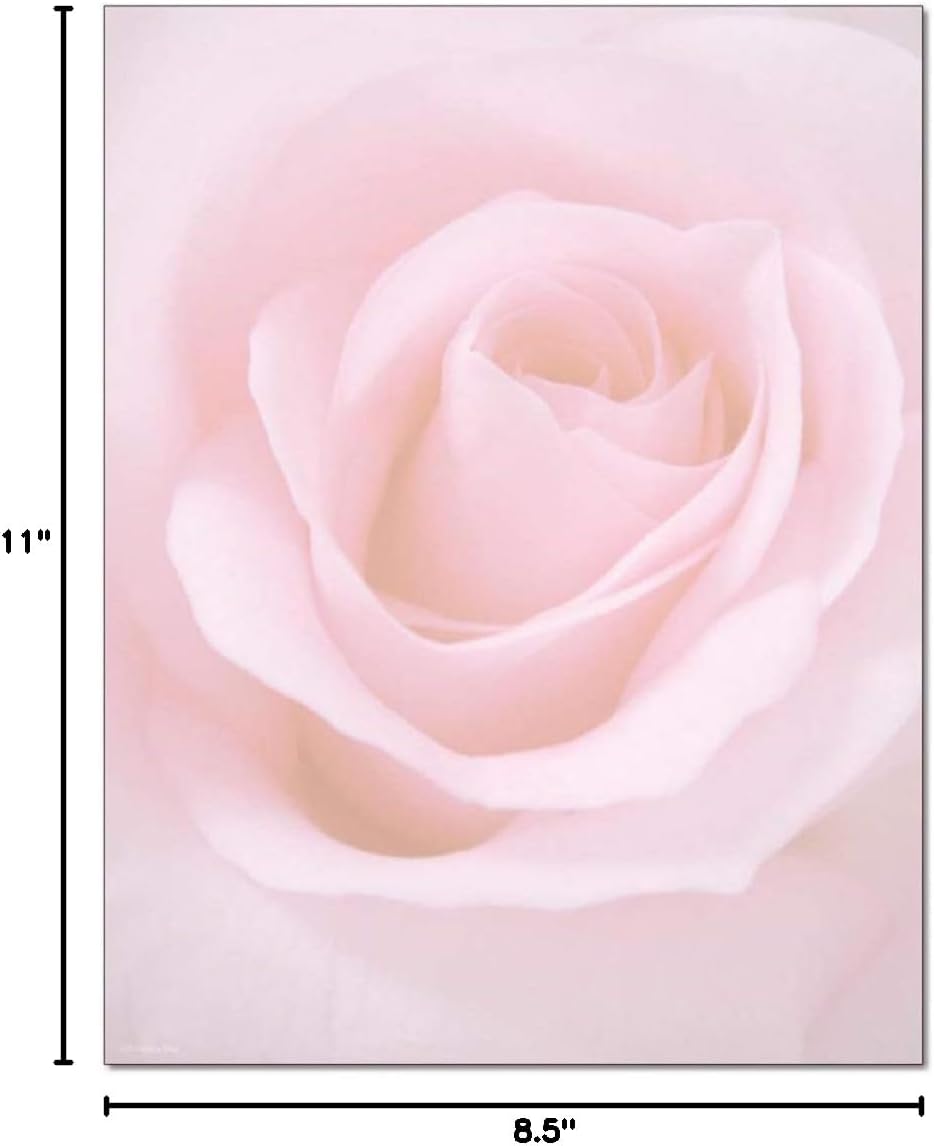 Blushing Rose Letterhead - 100 Sheets/Pack - 1 Pack