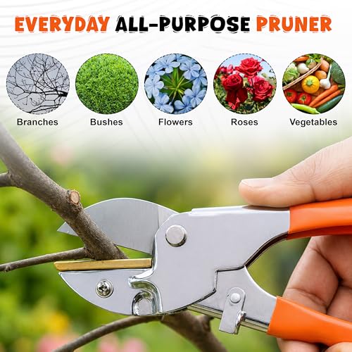 Image of JD FRESH Anvil Roll Cut Pruning Secateurs 8 Inch, Alloy Steel Blade Plant Cutter, Garden Pruning Shears for Dry & Hard Branches, Stems, Shrubs & Flowers with Safety Lock, Anti Slip Handle, Orange