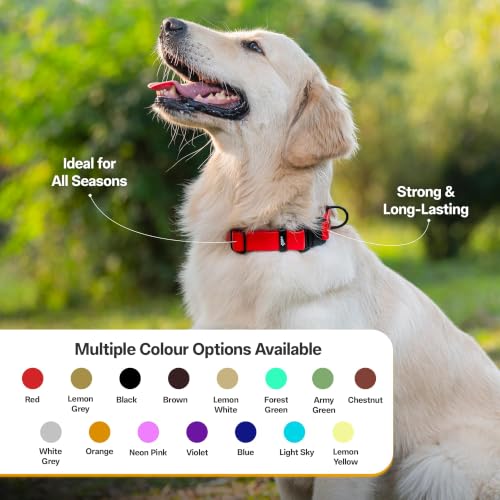 Image of Adil's Biothane Waterproof Dog Collar, Dog Leash & Collar Leash Combo | Heavy Duty TPU Coated Webbing | Adjustable Quick Release Buckle | Odour Resistant (Red, L-22, Collar only)