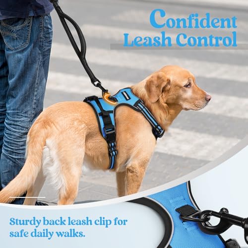 Image of rabbitgoo Dog Harness No Pull with 2 Leash Clips, Adjustable Soft Padded, Reflective Oxford No Choke Pet Vest with Easy Control Handle for Large Dogs, Blue, XL