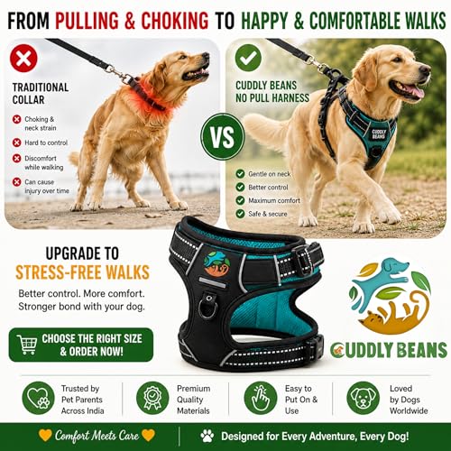 Image of Adjustable Padded Dog Harness with Leash | Comfortable Walking Harness for Dogs | Orange | Size S | Suitable for Dogs 11-15 kg