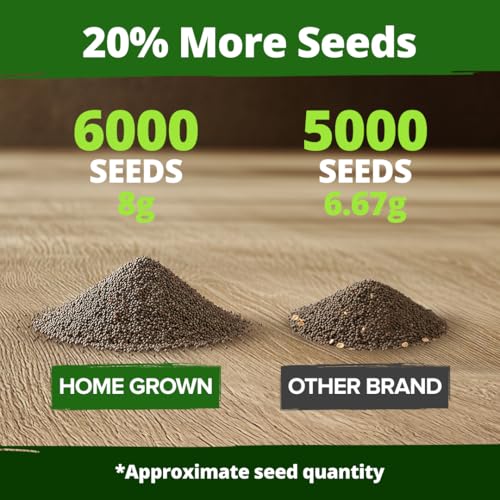Image of HOME GROWN California Poppy Golden West Seeds, 6000 Spring Flower Seeds for Planting 2026, Perennial Poppy Seed for Planting Outdoors, Herb Seeds (Eschscholzia californica)
